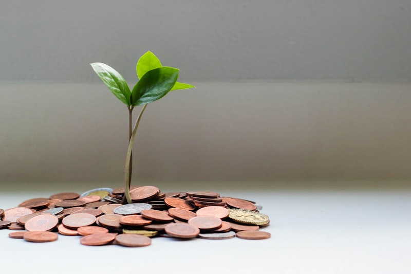 Venture fund investment growth